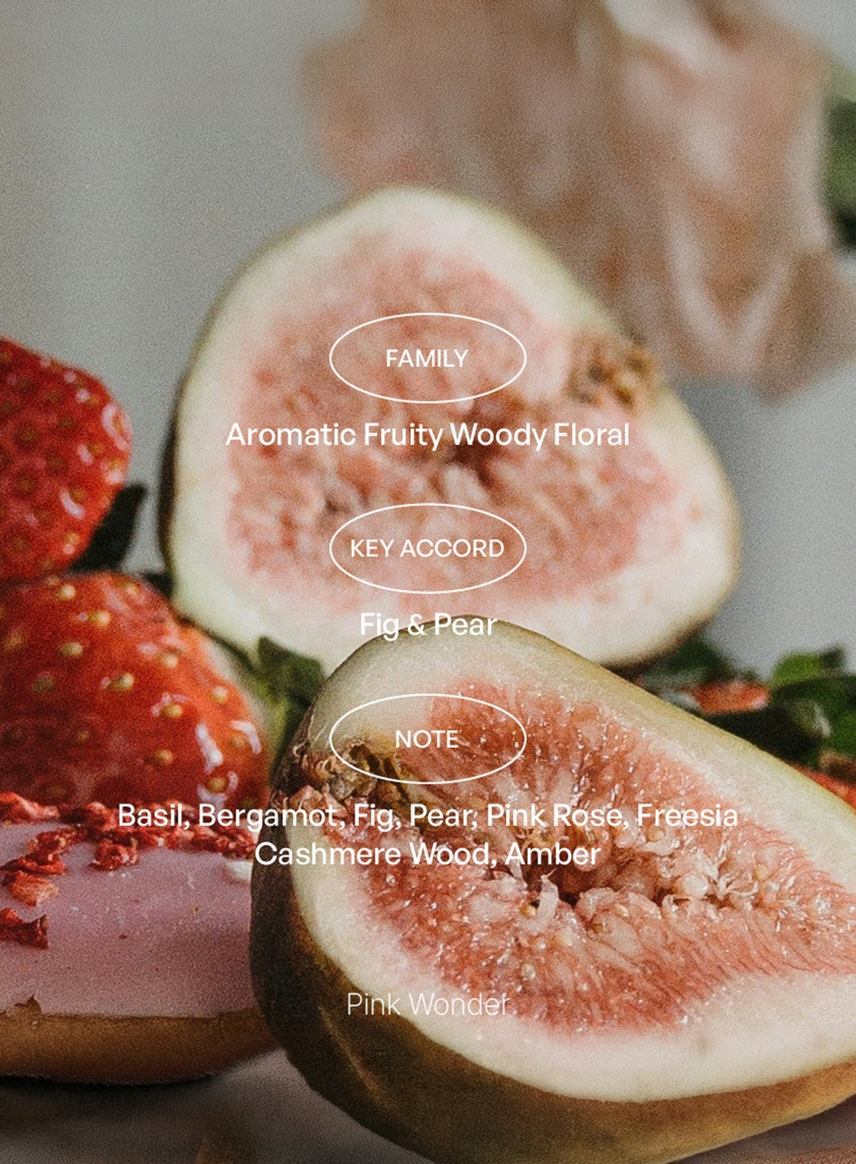 Pink Wonder ; Jeonju EDT (50ml)