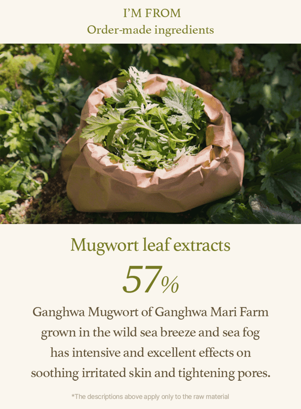 Mugwort Serum (30ml)