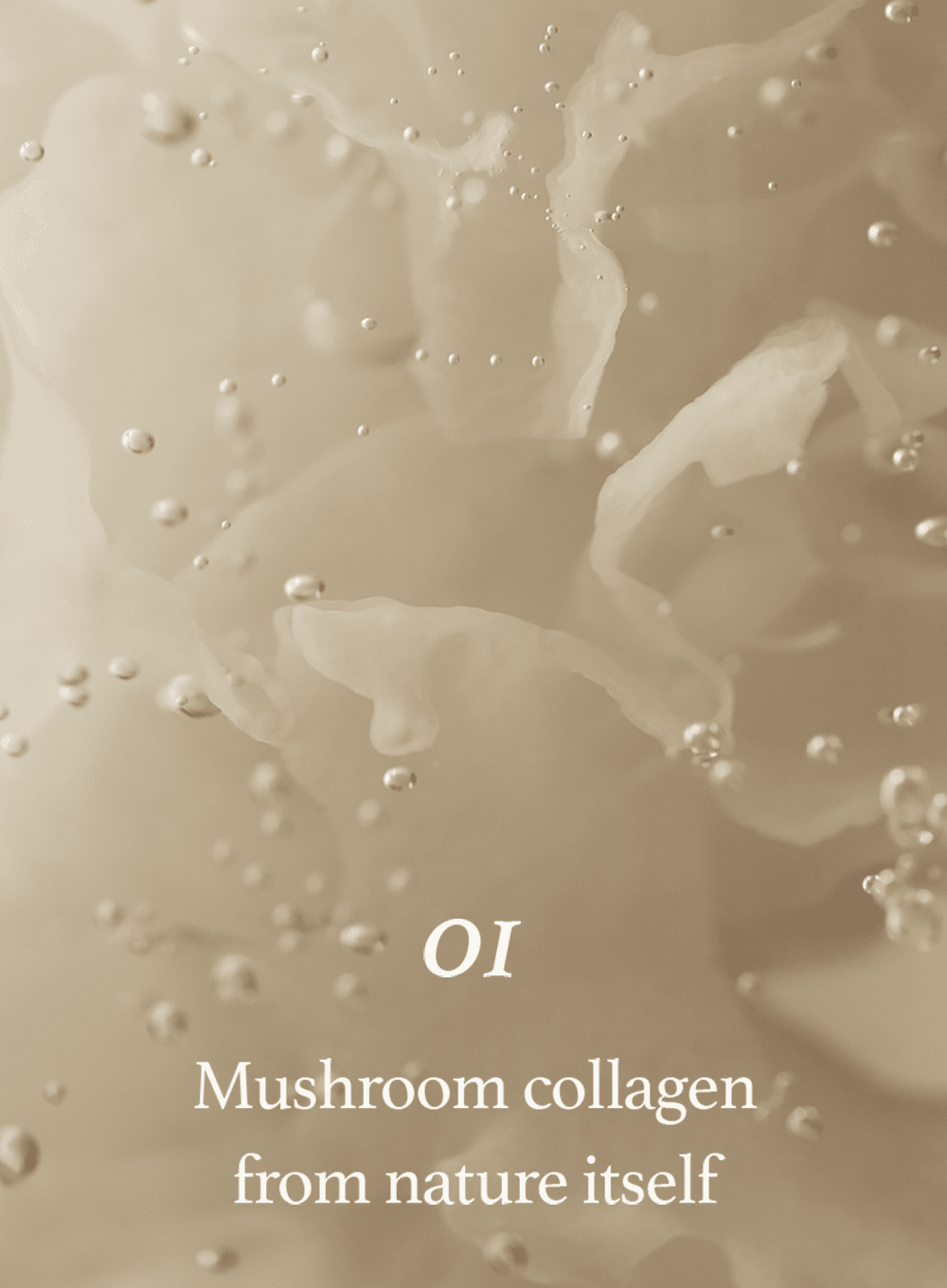 Mushroom Collagen Cream (50ml)