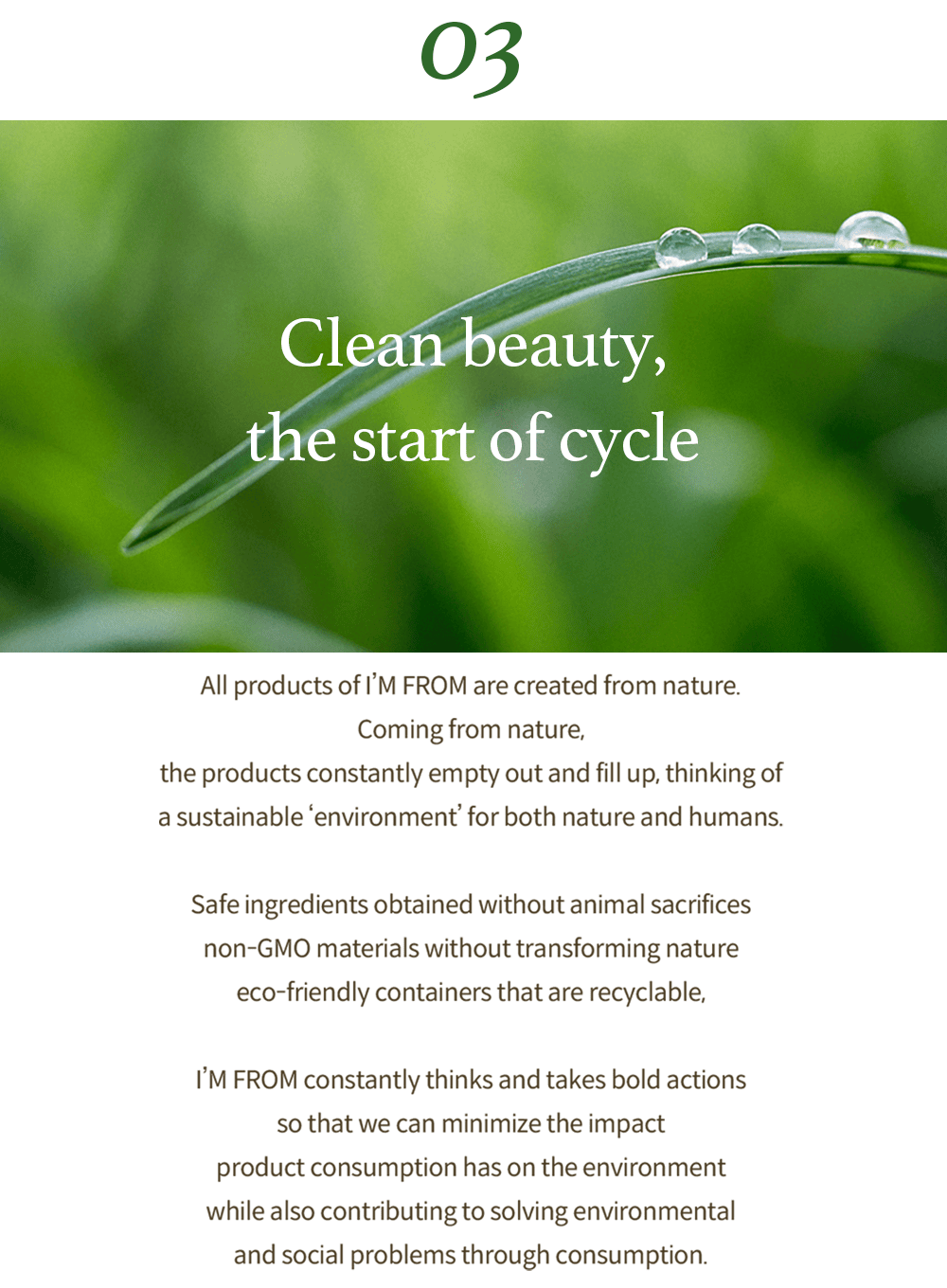 Rice Sunscreen (50ml)