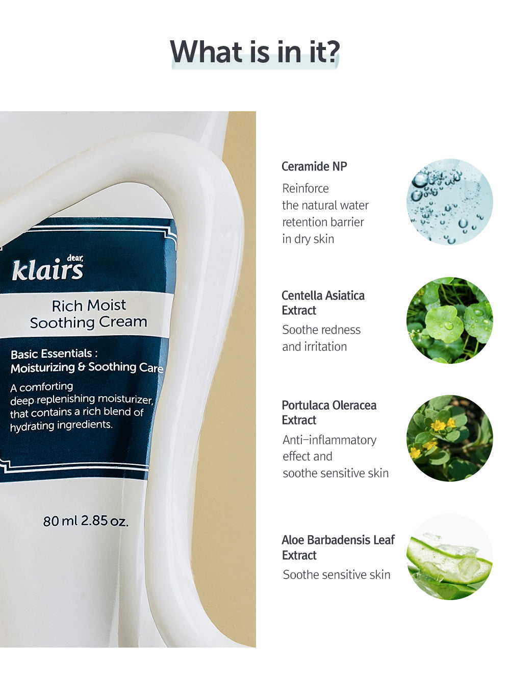 Rich Moist Soothing Cream (80g)