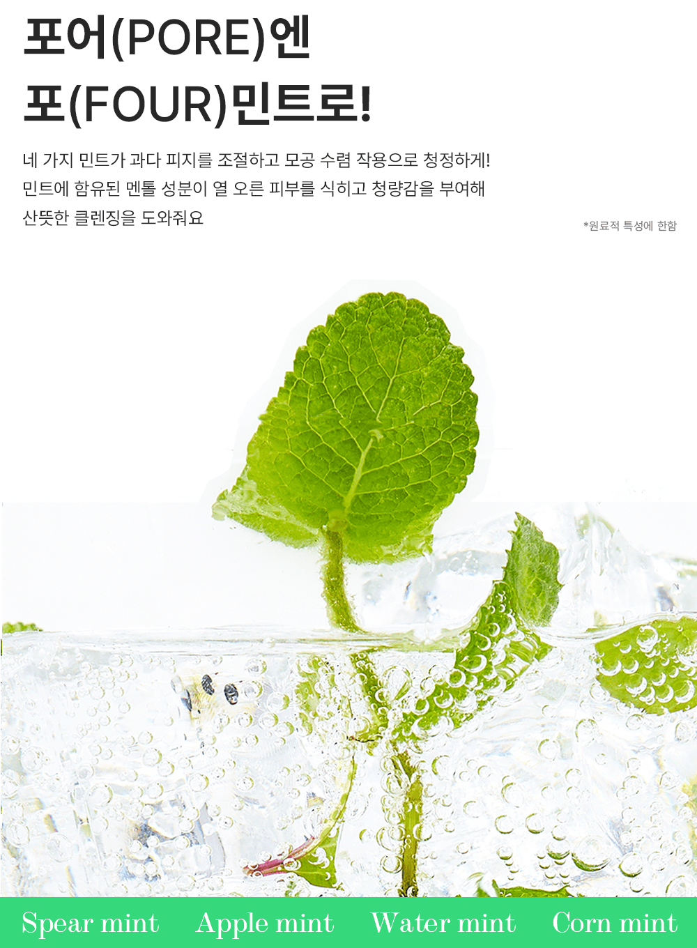 Green Mint Pore Cleansing Foam (150ml)