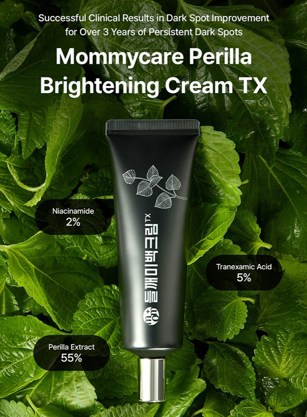 Perilla Brightening Cream TX Trio Set (50g*3ea)