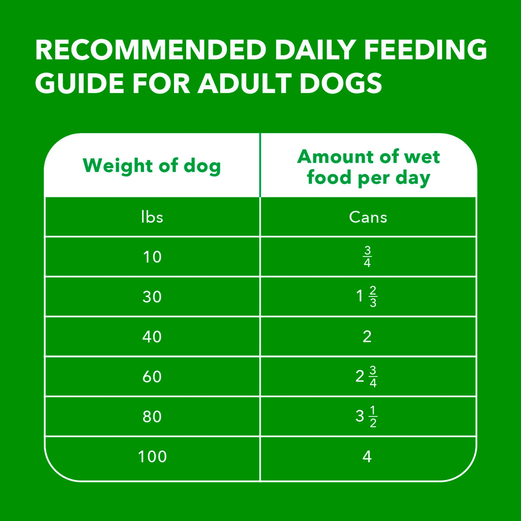 IAMS Proactive Health Ground Wet Dog Food, Lamb & Rice, 13 oz, 6-Pack | Real lamb, supports whole-body health, Omega-6 for skin & coat, no fillers or artificial flavors, 100% complete & balanced