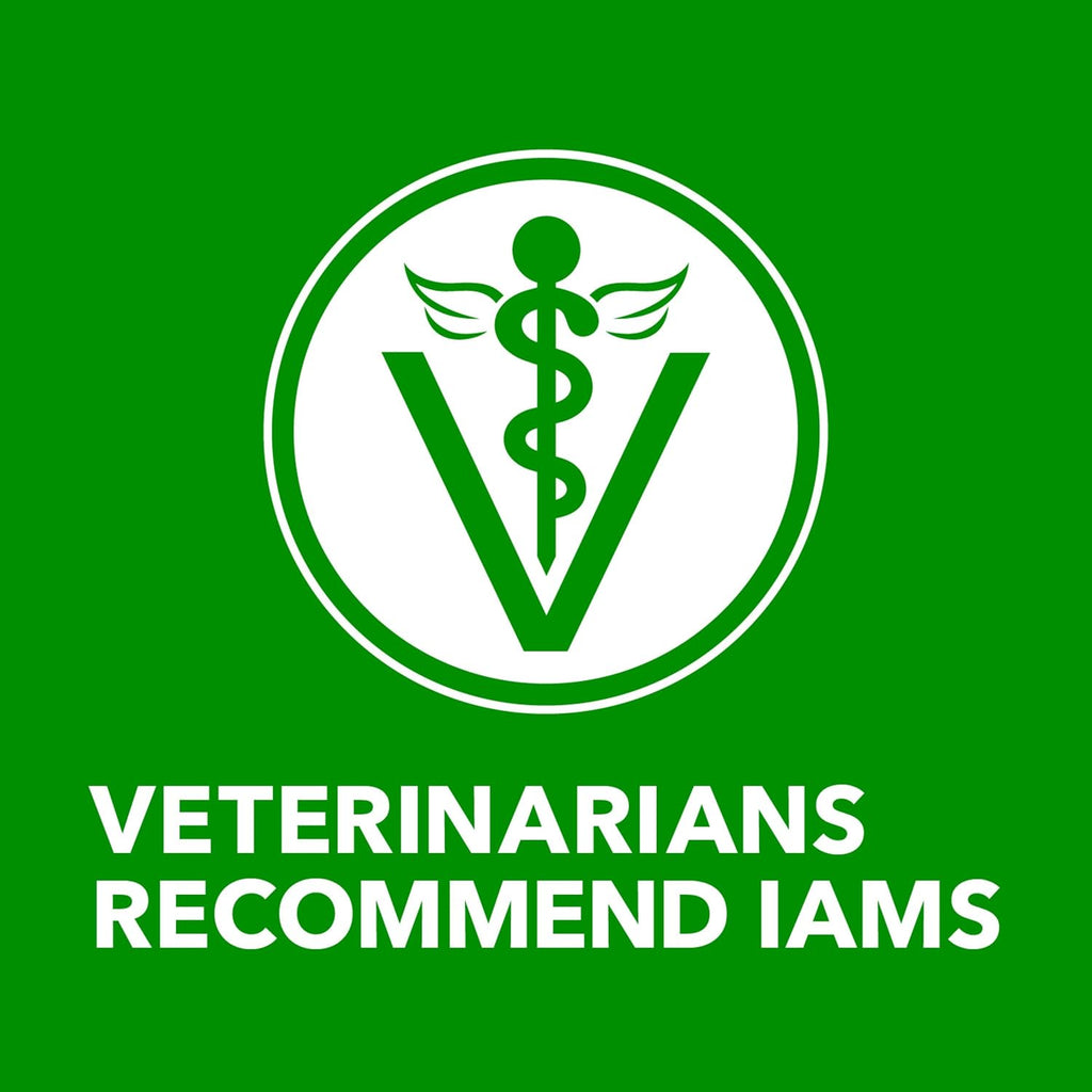 IAMS Proactive Health Ground Wet Dog Food, Lamb & Rice, 13 oz, 6-Pack | Real lamb, supports whole-body health, Omega-6 for skin & coat, no fillers or artificial flavors, 100% complete & balanced