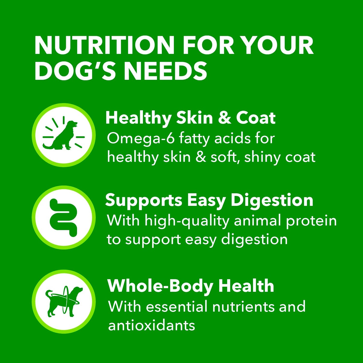 IAMS Proactive Health Ground Wet Dog Food, Lamb & Rice, 13 oz, 6-Pack | Real lamb, supports whole-body health, Omega-6 for skin & coat, no fillers or artificial flavors, 100% complete & balanced