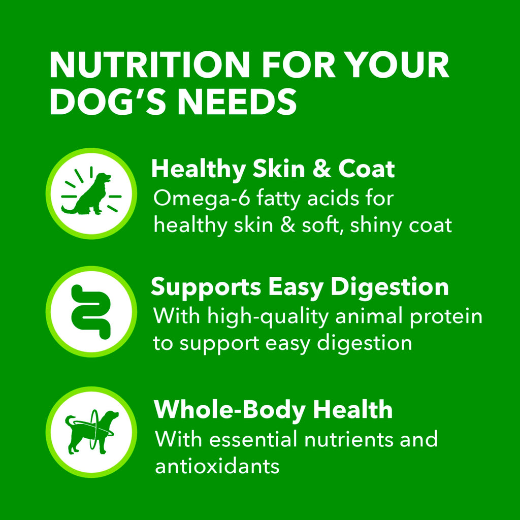 IAMS Proactive Health Ground Wet Dog Food, Lamb & Rice, 13 oz, 6-Pack | Real lamb, supports whole-body health, Omega-6 for skin & coat, no fillers or artificial flavors, 100% complete & balanced