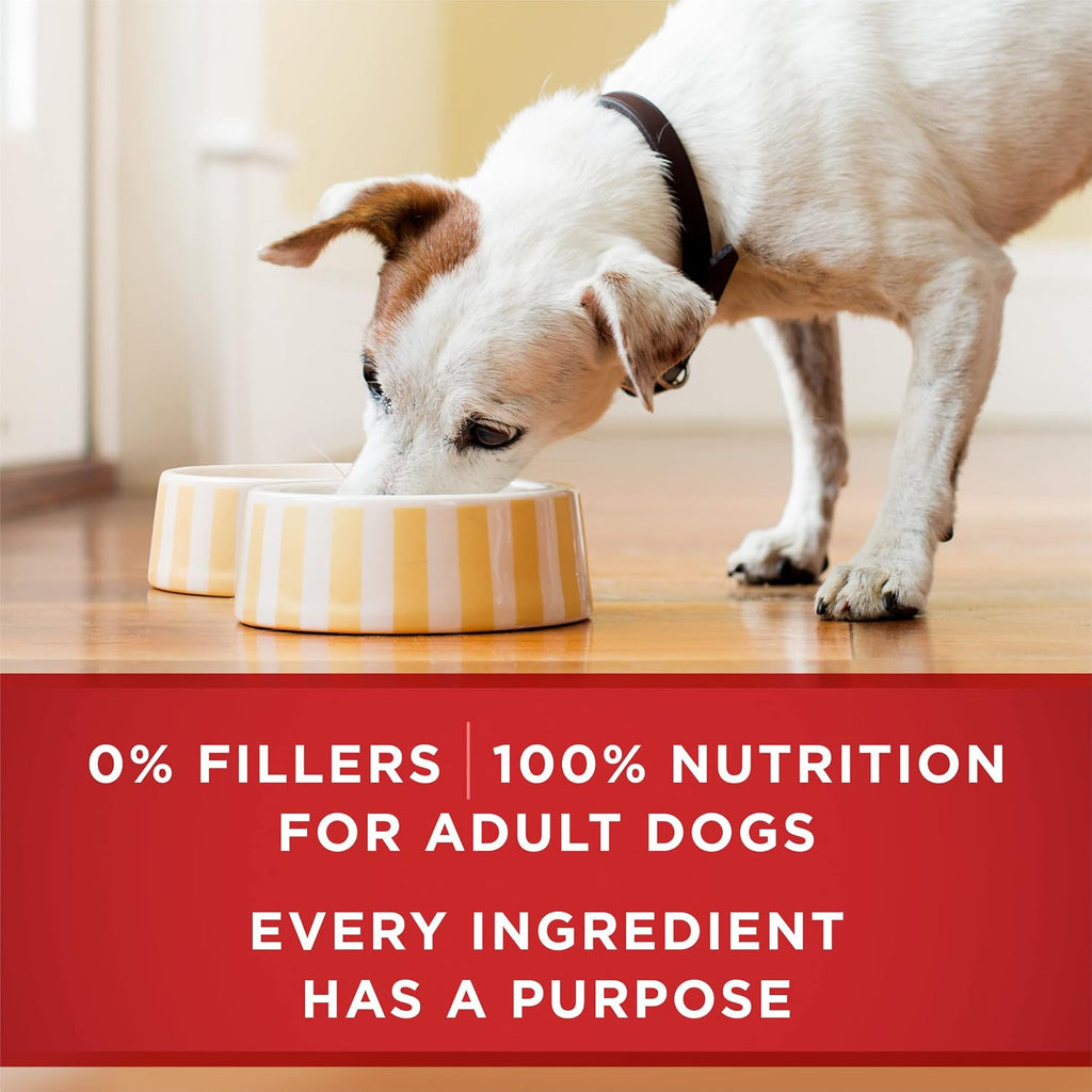 Purina ONE Wet Dog Food Variety Pack, Classic Ground, (6) 13 oz Cans | Two ground entrees, Chicken & Brown Rice and Beef & Brown Rice, with complete and balanced adult nutrition and no fillers