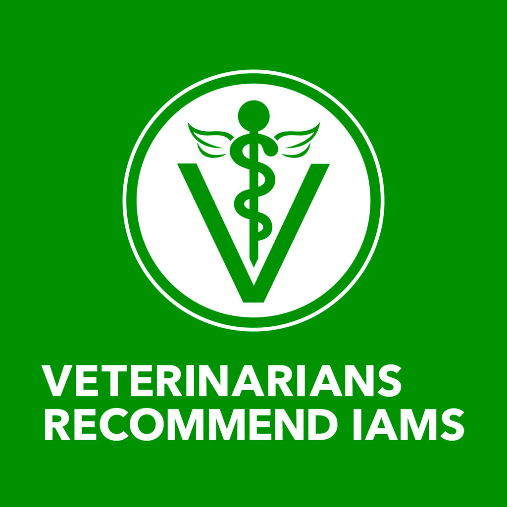 IAMS Proactive Health Ground Wet Dog Food, Lamb & Rice, 13 oz, 6-Pack | Real lamb, supports whole-body health, Omega-6 for skin & coat, no fillers or artificial flavors, 100% complete & balanced