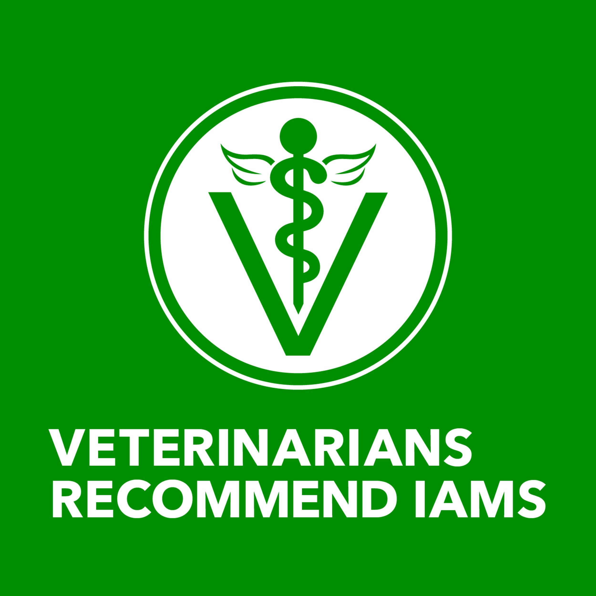 IAMS Proactive Health Ground Wet Dog Food, Lamb & Rice, 13 oz, 6-Pack | Real lamb, supports whole-body health, Omega-6 for skin & coat, no fillers or artificial flavors, 100% complete & balanced