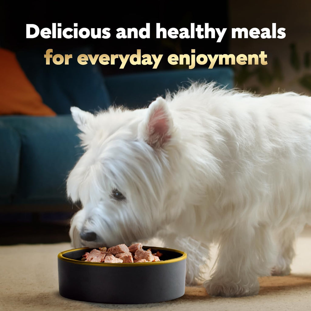 Cesar Loaf & Topper Wet Dog Food, Ham & Egg Flavor, 3.5 oz, 24 Count | Pork #1 ingredient, easy to digest, no fillers or added sugar, use as meal or food topper, easy peel trays
