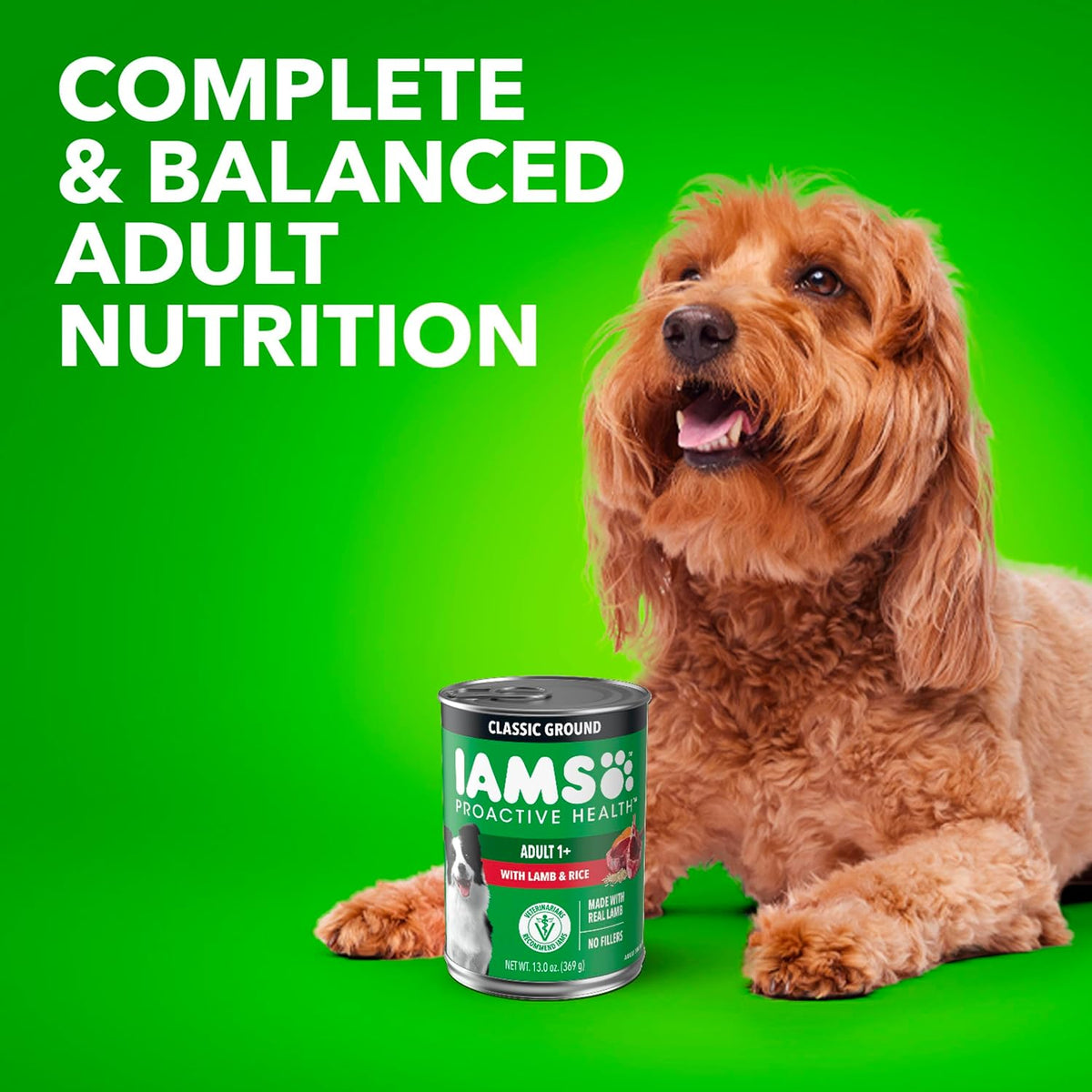 IAMS Proactive Health Ground Wet Dog Food, Lamb & Rice, 13 oz, 6-Pack | Real lamb, supports whole-body health, Omega-6 for skin & coat, no fillers or artificial flavors, 100% complete & balanced