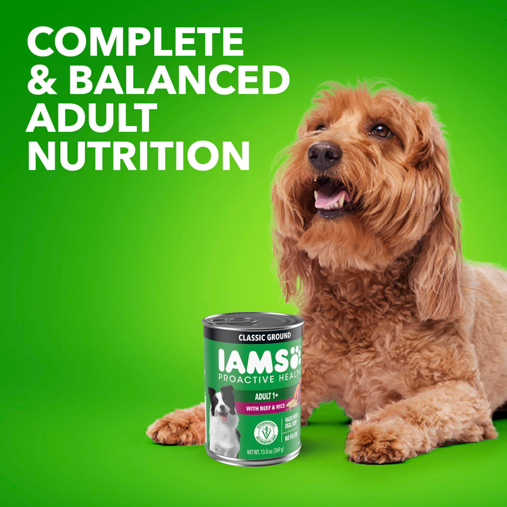 IAMS Proactive Health Ground Wet Dog Food, Lamb & Rice, 13 oz, 6-Pack | Real lamb, supports whole-body health, Omega-6 for skin & coat, no fillers or artificial flavors, 100% complete & balanced