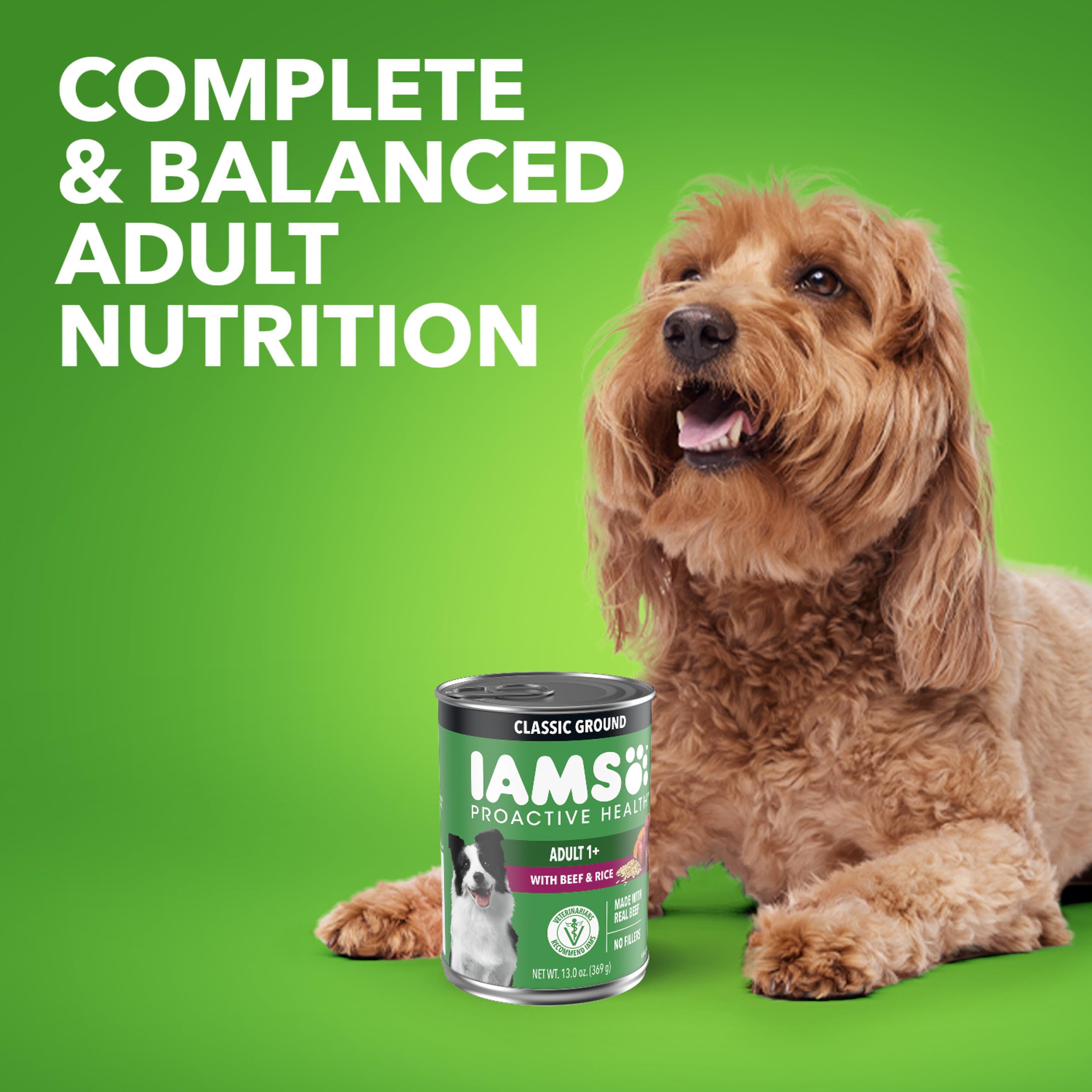 IAMS Proactive Health Ground Wet Dog Food, Lamb & Rice, 13 oz, 6-Pack | Real lamb, supports whole-body health, Omega-6 for skin & coat, no fillers or artificial flavors, 100% complete & balanced