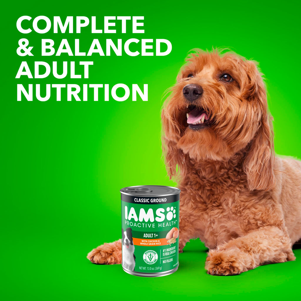 IAMS Proactive Health Ground Wet Dog Food, Lamb & Rice, 13 oz, 6-Pack | Real lamb, supports whole-body health, Omega-6 for skin & coat, no fillers or artificial flavors, 100% complete & balanced