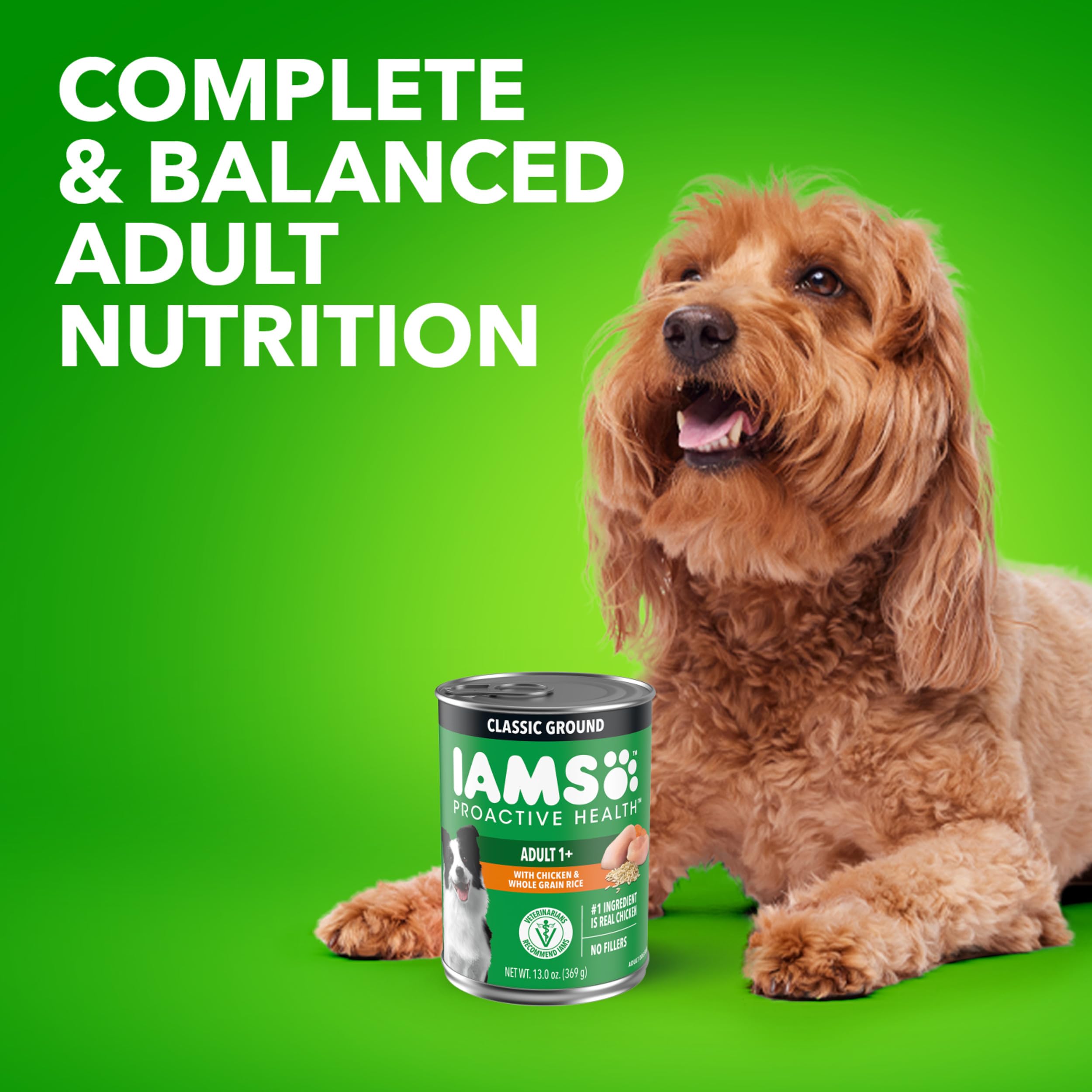 IAMS Proactive Health Ground Wet Dog Food, Lamb & Rice, 13 oz, 6-Pack | Real lamb, supports whole-body health, Omega-6 for skin & coat, no fillers or artificial flavors, 100% complete & balanced