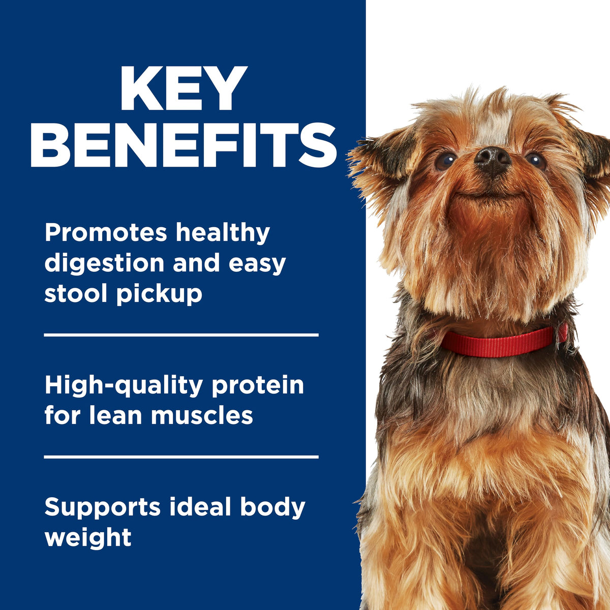 Hill's Science Diet Adult 1-6 Small & Mini Wet Dog Food Variety Pack | #1 Veterinarian Recommended, Chicken & Vegetables, Beef & Vegetables, 3.5 oz. Trays, 12-Pack