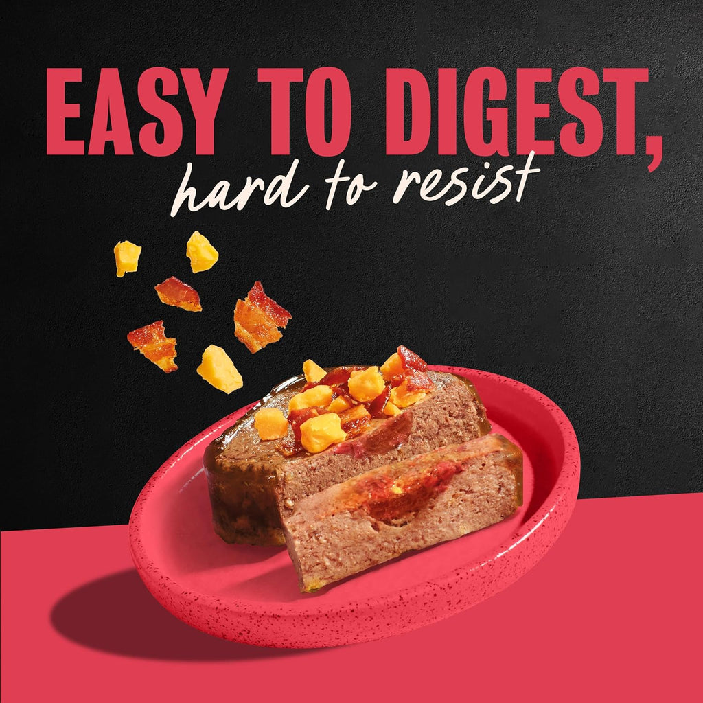 Cesar Loaf & Topper Wet Dog Food, Ham & Egg Flavor, 3.5 oz, 24 Count | Pork #1 ingredient, easy to digest, no fillers or added sugar, use as meal or food topper, easy peel trays