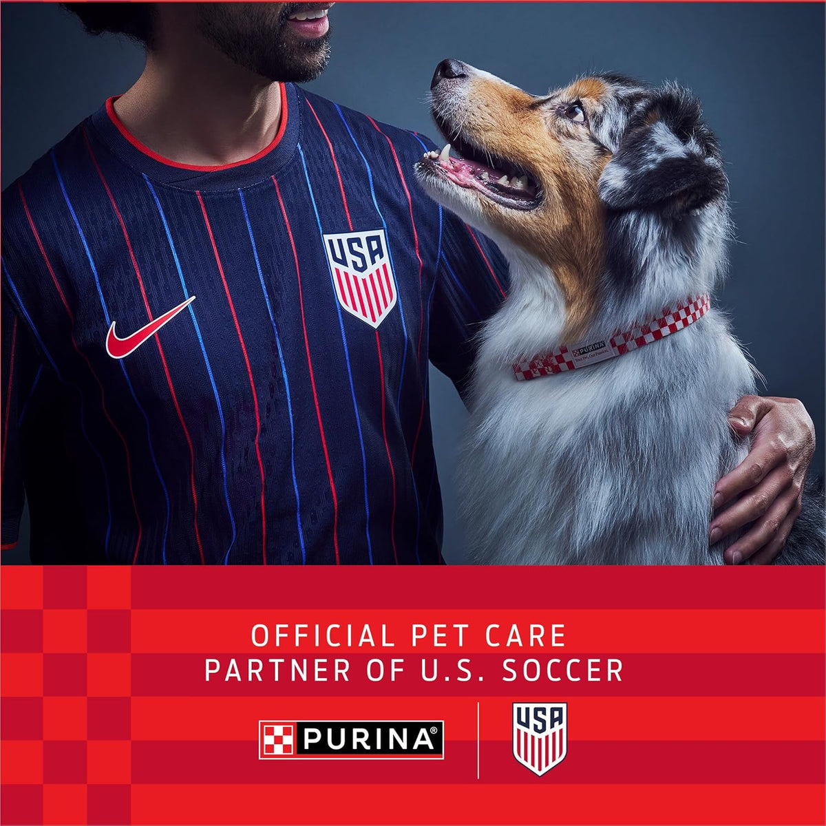 Purina ONE Wet Dog Food Variety Pack, Classic Ground, (6) 13 oz Cans | Two ground entrees, Chicken & Brown Rice and Beef & Brown Rice, with complete and balanced adult nutrition and no fillers