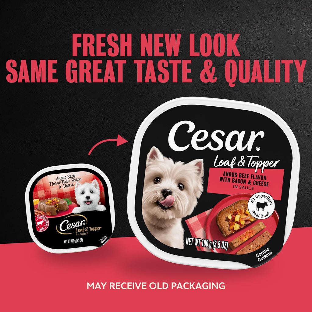 Cesar Loaf & Topper Wet Dog Food, Ham & Egg Flavor, 3.5 oz, 24 Count | Pork #1 ingredient, easy to digest, no fillers or added sugar, use as meal or food topper, easy peel trays