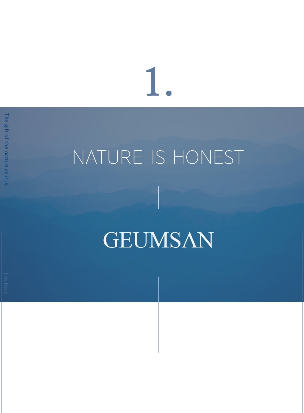 Ginseng Mask (120g)