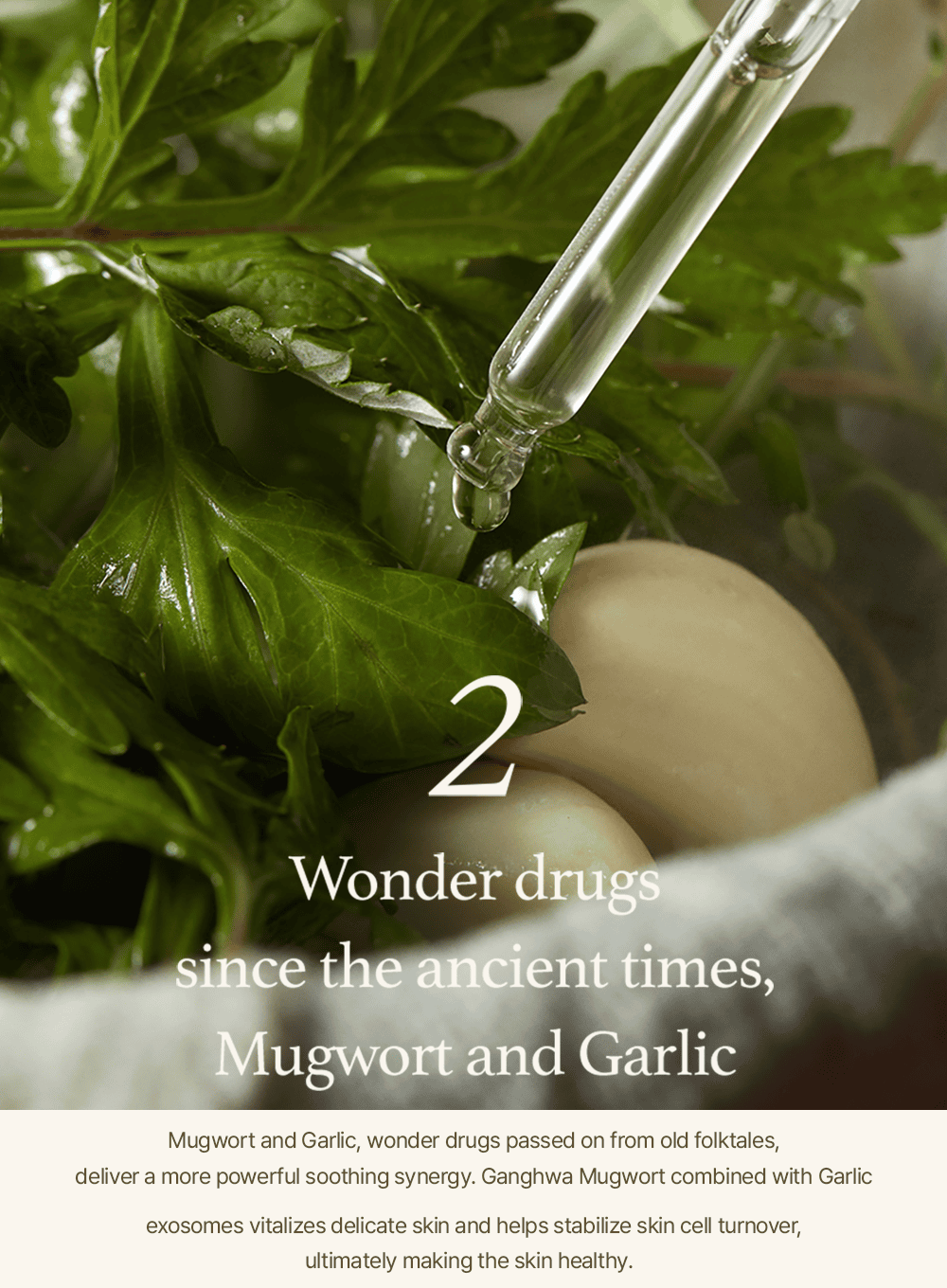 Mugwort Serum (30ml)