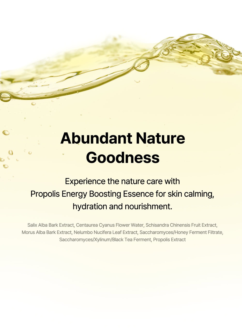Propolis Energy Boosting Essence (100ml)